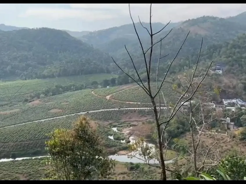 Misty Paradise Vagamon Homestay