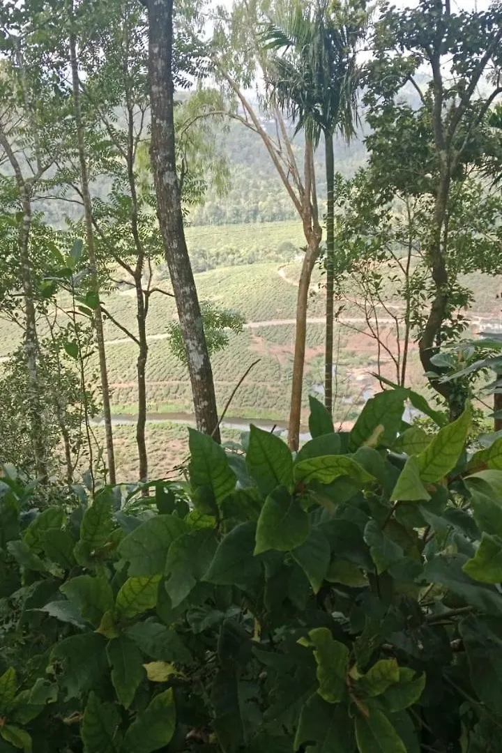 Misty Paradise Vagamon 0*,  India